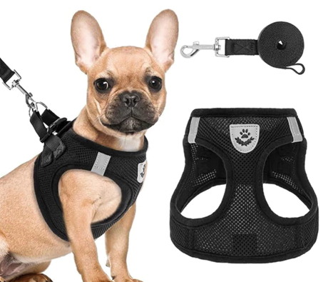 Kit 2 Pçs Guia + Coleira Peitoral Pet + FRETE GRÁTIS