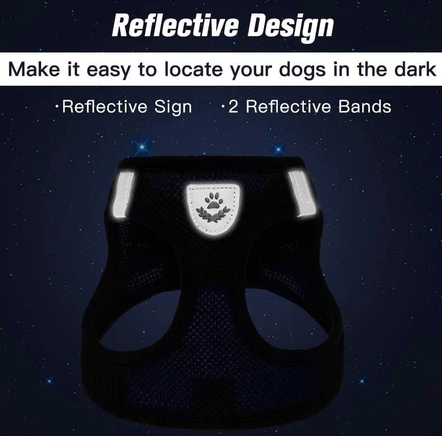 Kit 2 Pçs Guia + Coleira Peitoral Pet + FRETE GRÁTIS